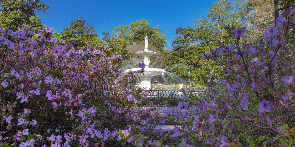 Forsyth Fountain through the trees in Savannah's Forsyth Park