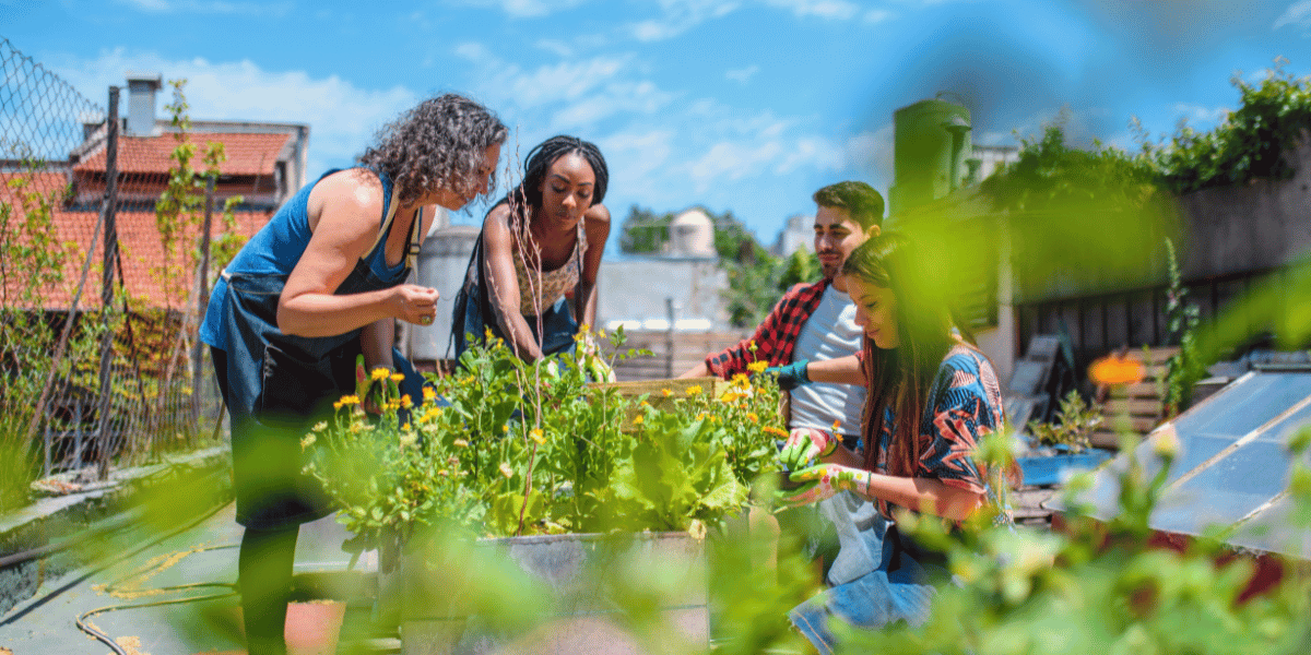 A group of people enjoying community gardening