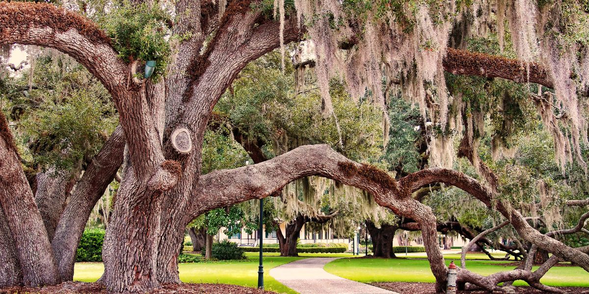 Jekyll Island