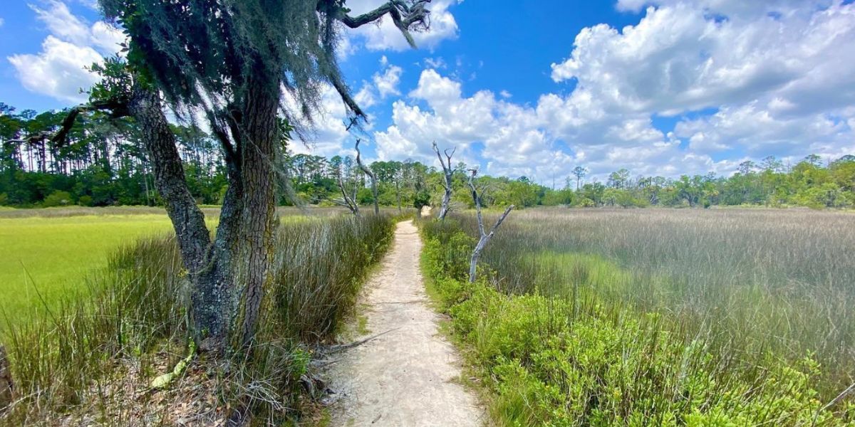 Skidaway Island