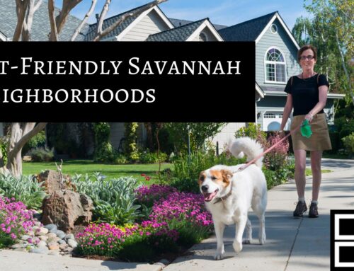 Pet-Friendly Neighborhoods in Savannah