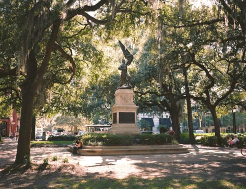 Planning and zoning and Savannah GA